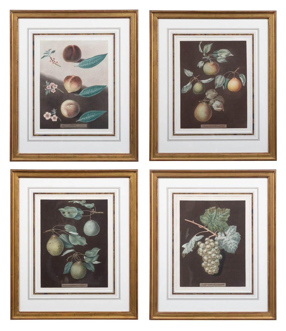 Four Botanical Aquatints by George Brookshaw (British, 1751-1823): Four Botanical Aquatints by George Brookshaw (British, 1751-1823) each with stipple engraving, print and hand coloring; comprising Plate LXIII, Plate LXXXV, Plate XXXI and Plate LXXXIII from Pamona Br