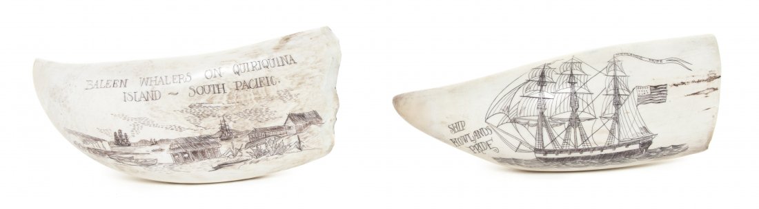 Two Scrimshaw Whale's Teeth, Length of longer 6 3/: Two Scrimshaw Whale's Teeth, one depicting a ship at sea bearing an American flag and a banner inscribed Howlands Pride further bearing the inscription Ship Howlands pride, the reverse inscribed She