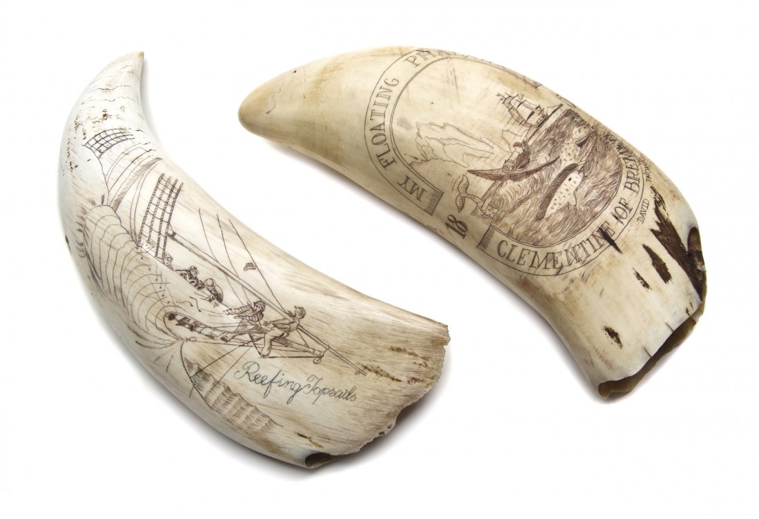 Two Scrimshaw Whale's Teeth, Length of longer 7 1/: Two Scrimshaw Whale's Teeth, one depicting the hunt of a Narwhal and bearing the inscription My Floating Phalanx Clementine of Bremen and dated 1856, the reverse dated 1880 within a heart above an ins