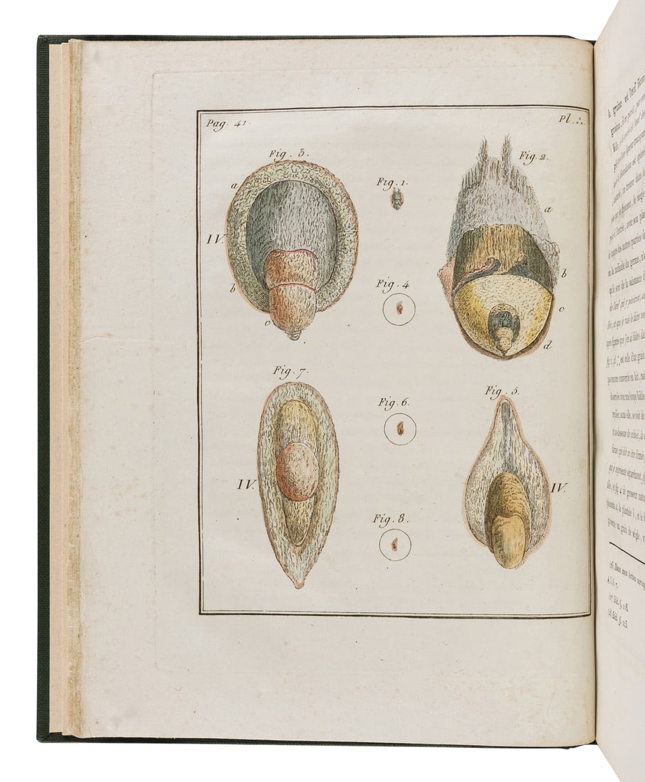 [NATURAL HISTORY]. GLEICHEN, Wilhelm Friedrich von. Dissertation sur la generation, les animalcules (1 of 2)