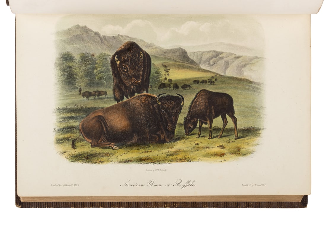 AUDUBON, John James and John BACHMAN. The Quadrupeds of North America. FIRST OCTAVO EDITION. (1 of 5)