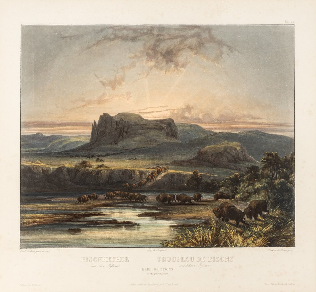 BODMER, Karl. Herd of Bisons on the Upper Missouri. 1839-1842. (1 of 1)