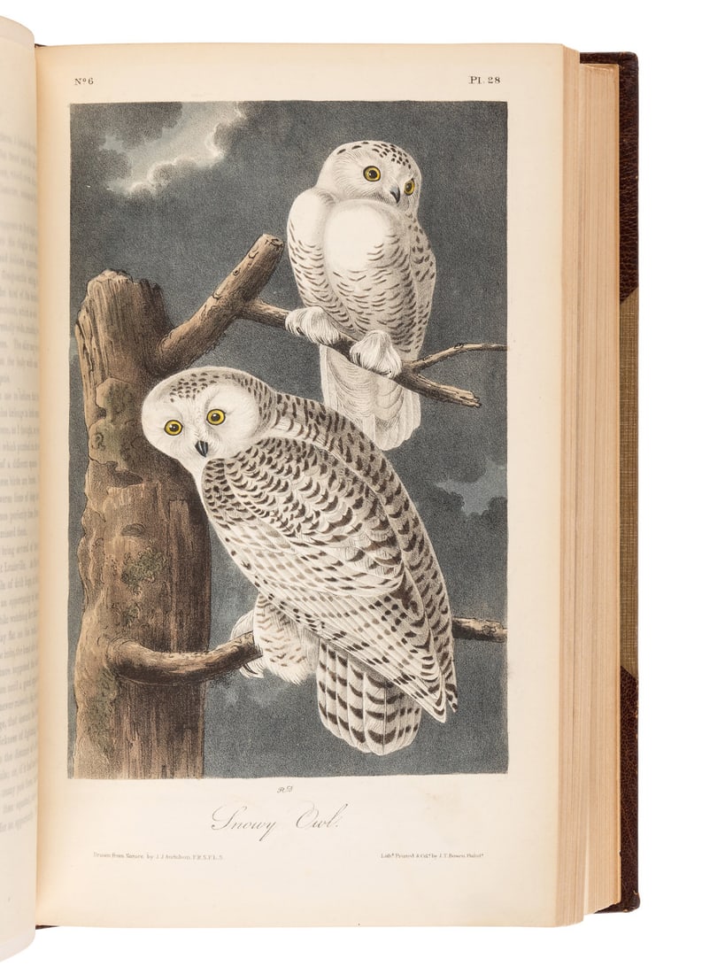 AUDUBON, John James. The Birds of America. FIRST OCTAVO EDITION. (1 of 7)