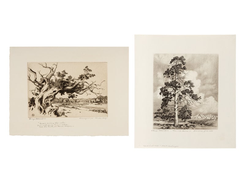 George Elbert Burr
(American, 1859–1939)
Two Works: Pine and Clouds and Hassayampa River- Ariz (1 of 5)