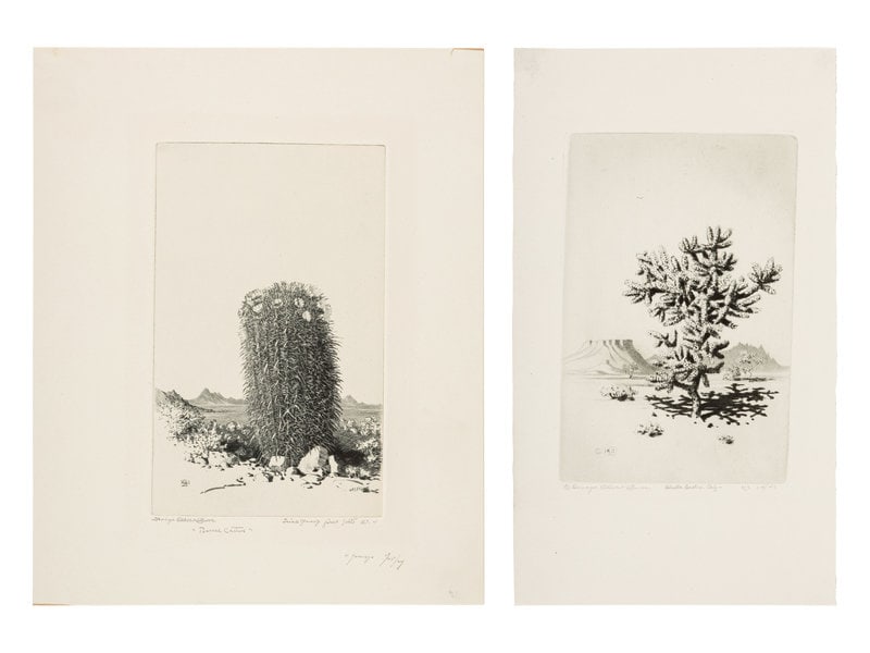 George Elbert Burr
(American, 1859-1939)
Two Works: Cholla Cactus, Arizona and Barrel Cactus (1 of 5)