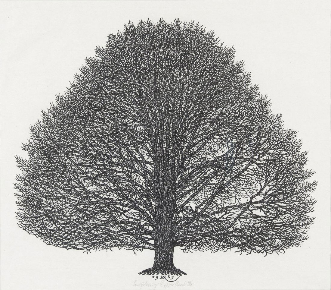 Jacques Hnizdovsky, (American/Ukrainian, 1915-1985: Jacques Hnizdovsky (American/Ukrainian, 1915-1985) Tom, Young Prince, and Copper Beech (three works) lithographs edition, signed Hnizdovsky and titled (lower center) Largest: