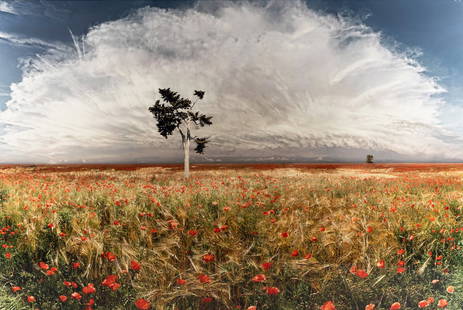 Jean-François Rauzier (born 1952) Coquelicots (Poppies), 2003: Jean-François Rauzier(born 1952)Coquelicots (Poppies), 2003Chromogenic print on Diabond, printed c. 2005; one from the edition of 8. image/ sheet/ mount : 64 x 96in. (162.6 x 244cm.)Property from