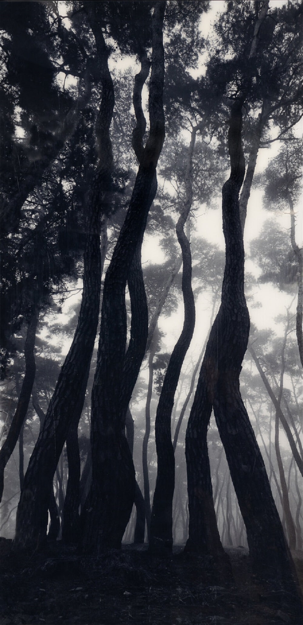 BaeBien-U (born 1950) SNM1A-034, 1992 (1 of 5)