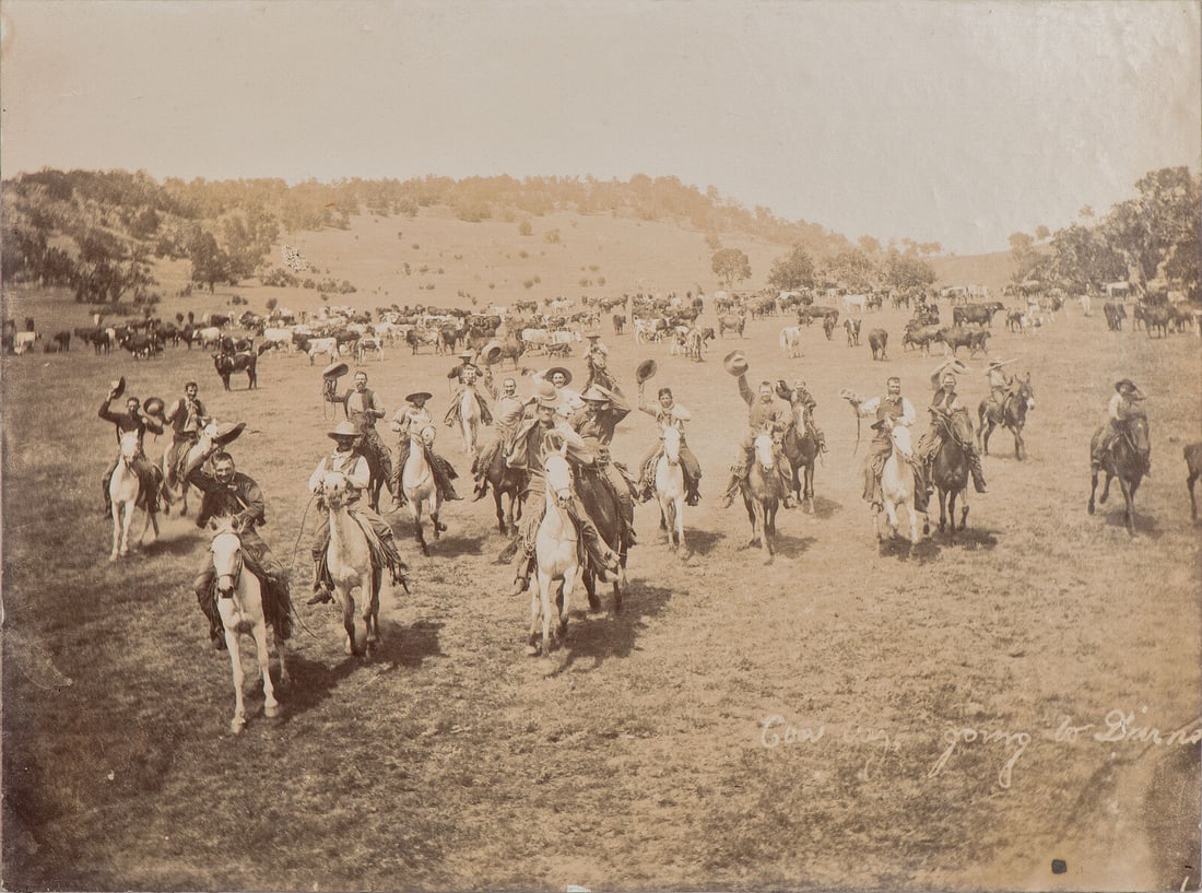 [western Americana New Mexico]. Album Containing Photographs Of