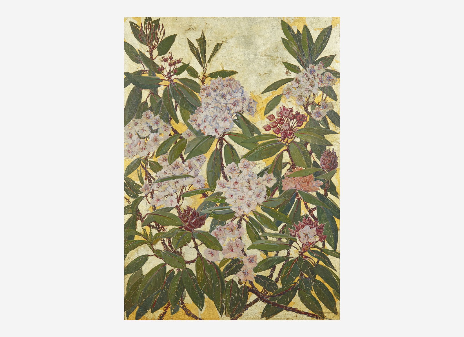 Mary Elizabeth Price (American, 1877-1965) - Rhododendron: Mary Elizabeth Price (American, 1877-1965) - Rhododendron Signed ‘M. ELIZABETH PRICE’ in a cartouche bottom right; also titled, signed and located ‘NEW HOPE/PENNSYLVANIA’ verso