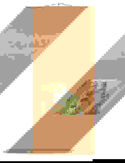 Mizuta Chikuho Auction