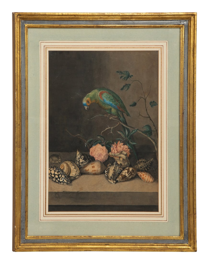 French School, 19th Century A Parrot with Shells and Roses (1 of 11)