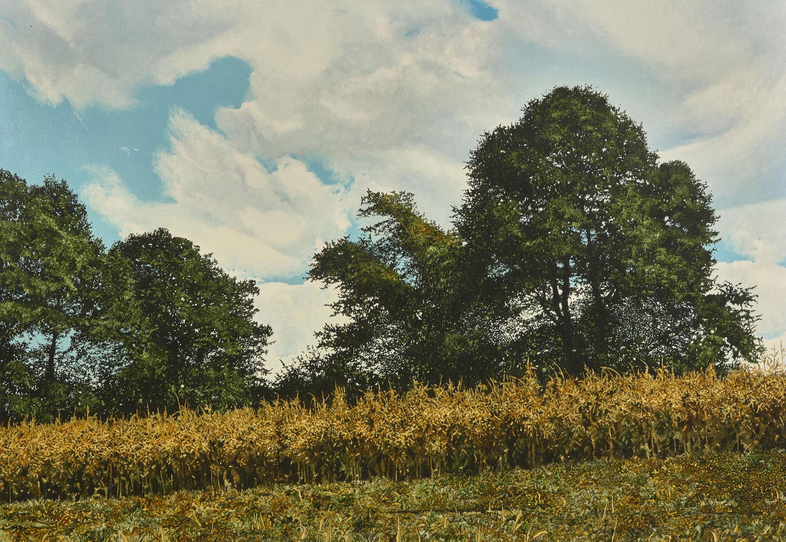 J. Wayne Byström (American, 20th Century) - Cornfield (1 of 2)