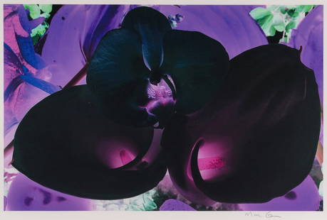 Marc Quinn (British, b. 1964) At the Far Edge of the Universe 06, 2010: Marc Quinn (British, b. 1964) At the Far Edge of the Universe 06, 2010 pigment print signed in pencil 25 1/2 x 39 1/4 inches.