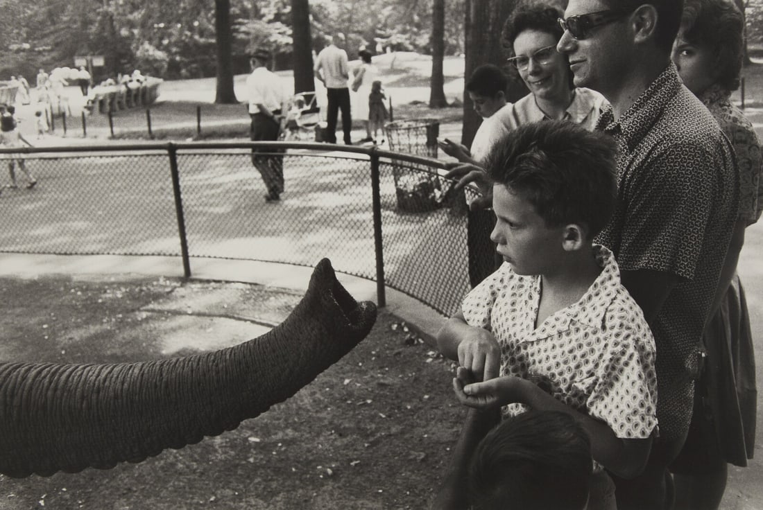 Garry Winogrand
(American, 1928-1984)
Bronx Zoo (from The Animals), 1963, later printed in 1970s (1 of 2)