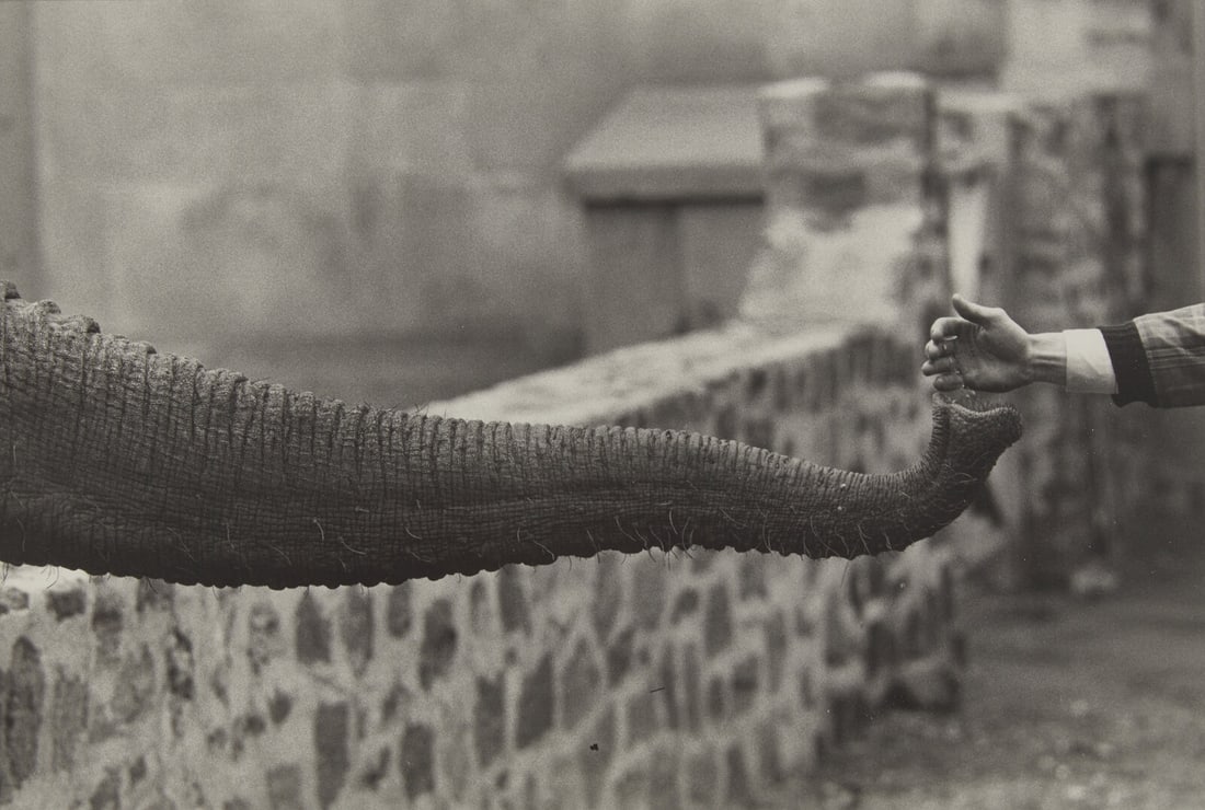 Garry Winogrand
(American, 1928-1984)
Untitled (from The Animals), circa 1963, printed later (1 of 2)
