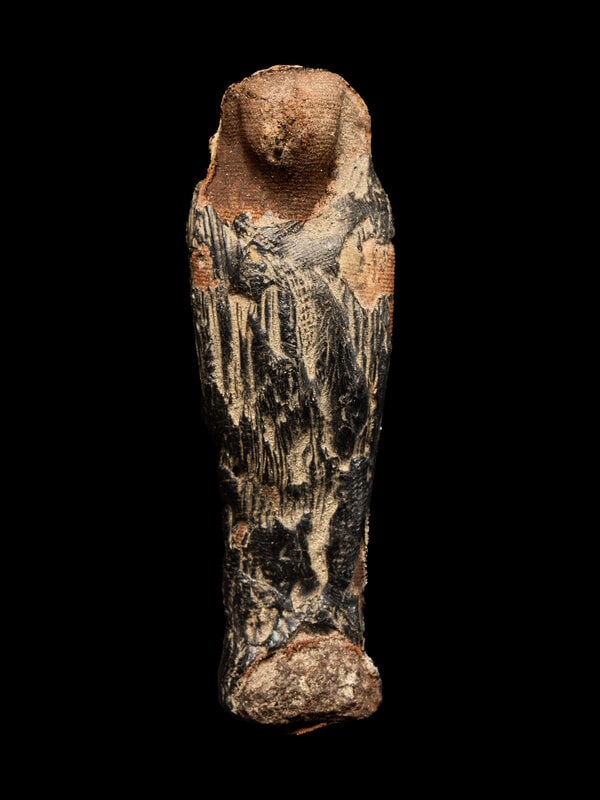 An Egyptian Mummified Falcon (1 of 4)