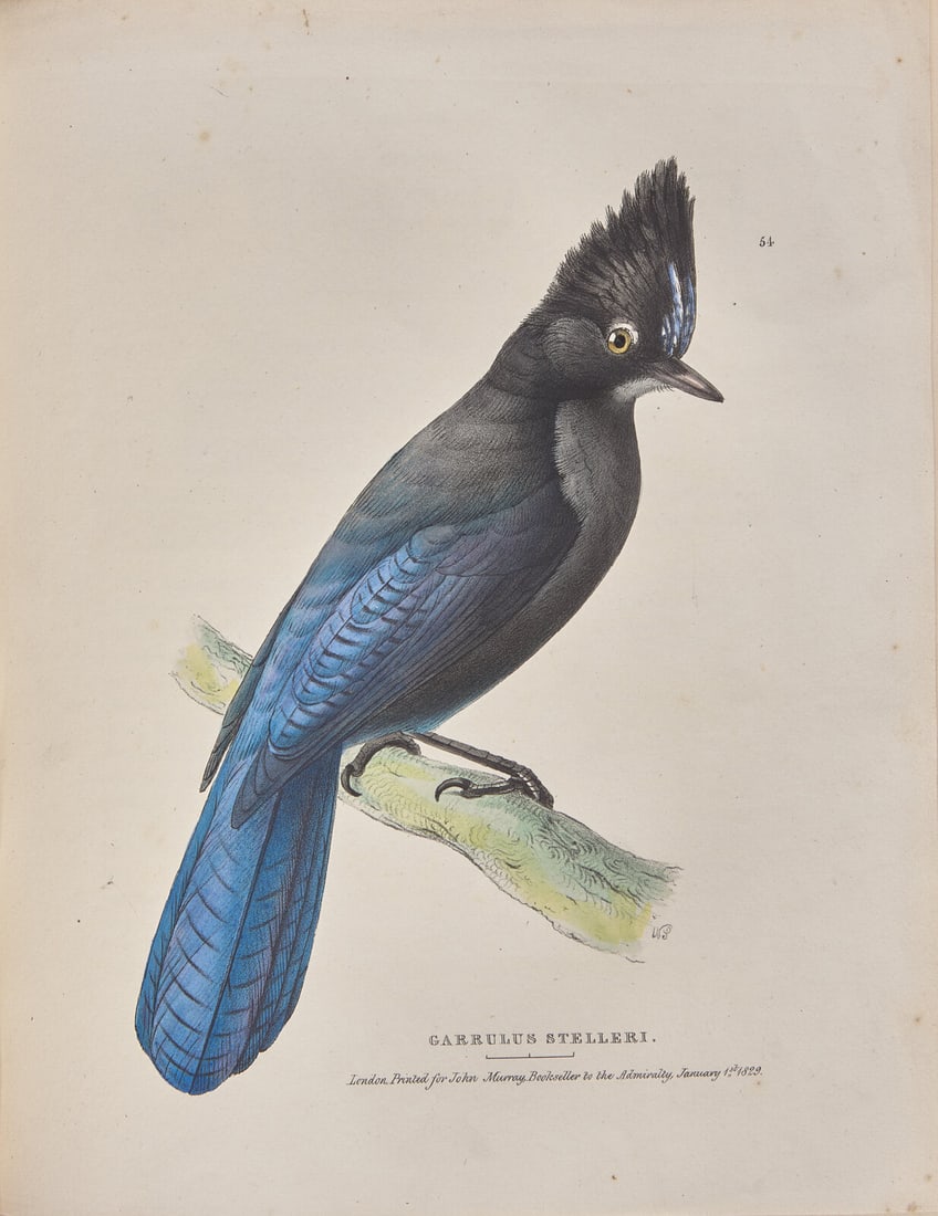 [Natural History] Richardson, John, et al. Fauna Boreali-Americana; or the Zoology of the Northern: [Natural History] Richardson, John, and William Swainson, and William Kirby. Fauna Boreali-Americana; or the Zoology of the Northern Parts of British America... London: John Murray, 1829-31. In two vo