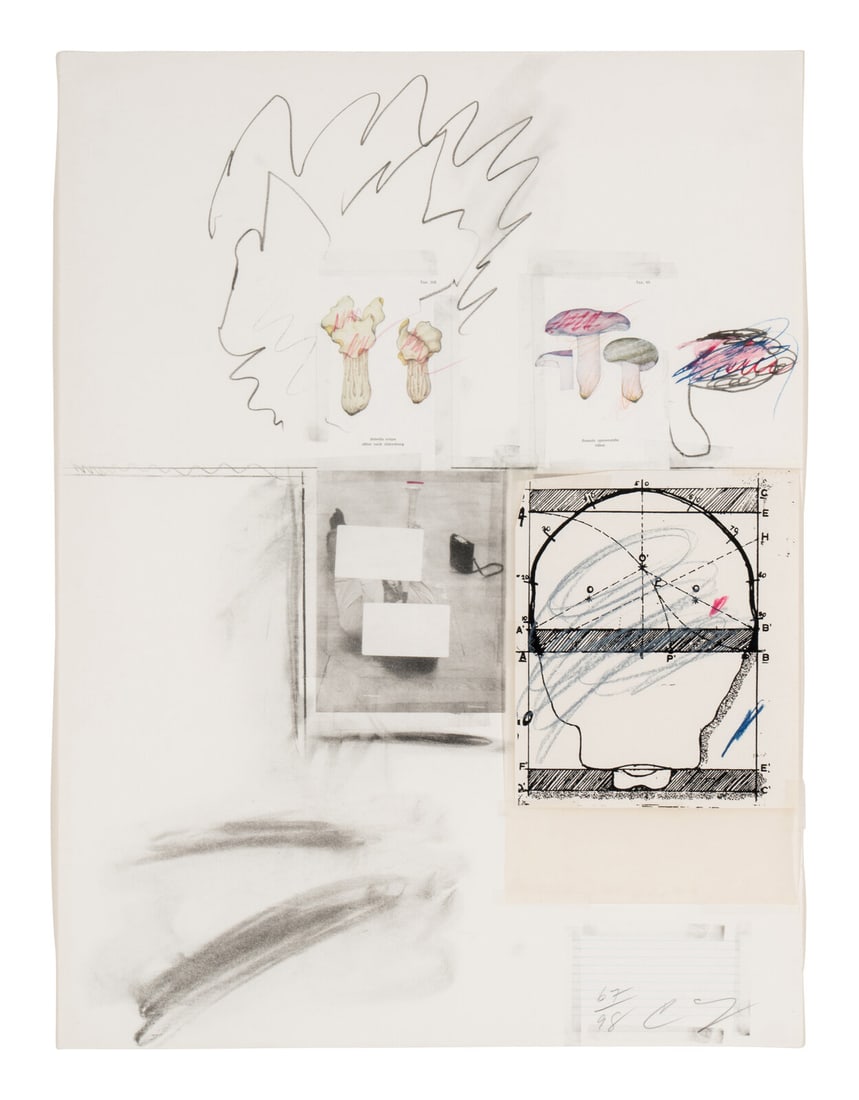 Cy Twombly (American, 1928-2011) No. 2 (from Natural History, Part I, Mushrooms), 1974 (1 of 4)