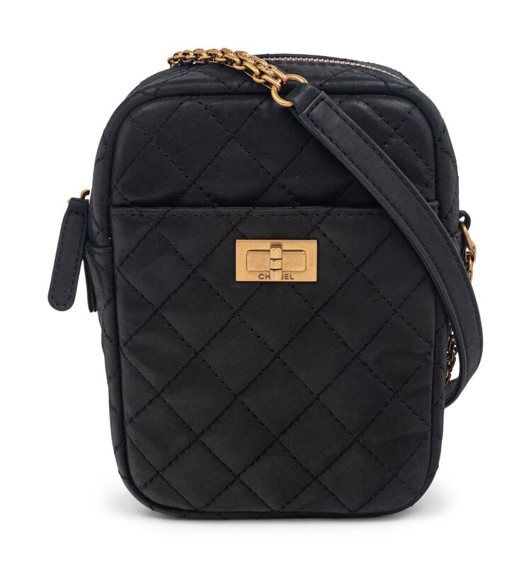 Chanel Reissue 2.55 Camera Crossbody  (1 of 6)