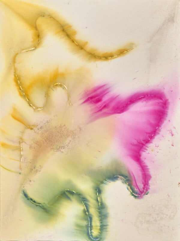 Sam Falls
(American, b. 1984)
Untitled (Hartland, VT, Rain Rope, 11), 2013 (1 of 3)