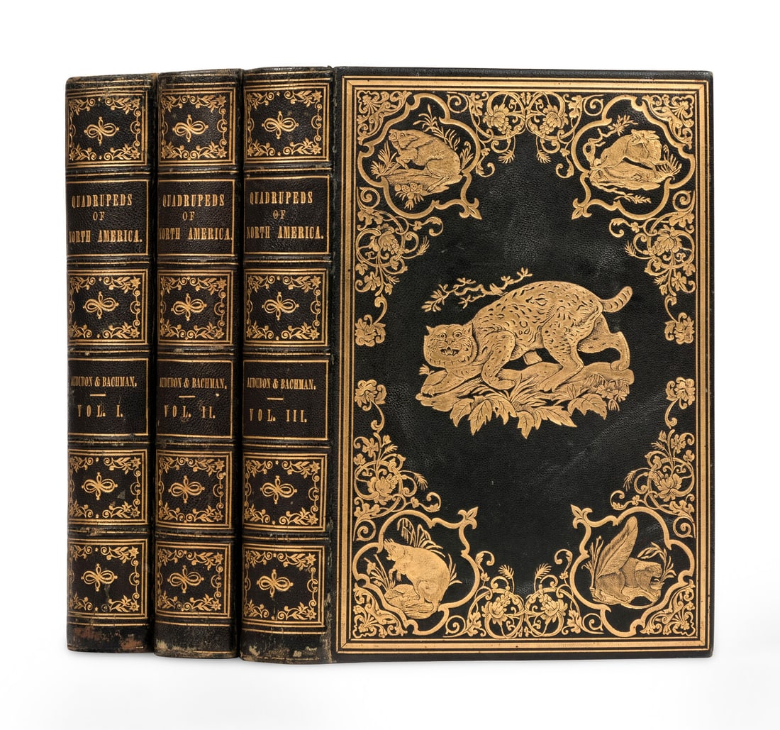 AUDUBON. The Quadrupeds of N.A. NY, 1849-1854. FIRST OCTAVO EDITION. IN DELUXE BINDING. (1 of 5)
