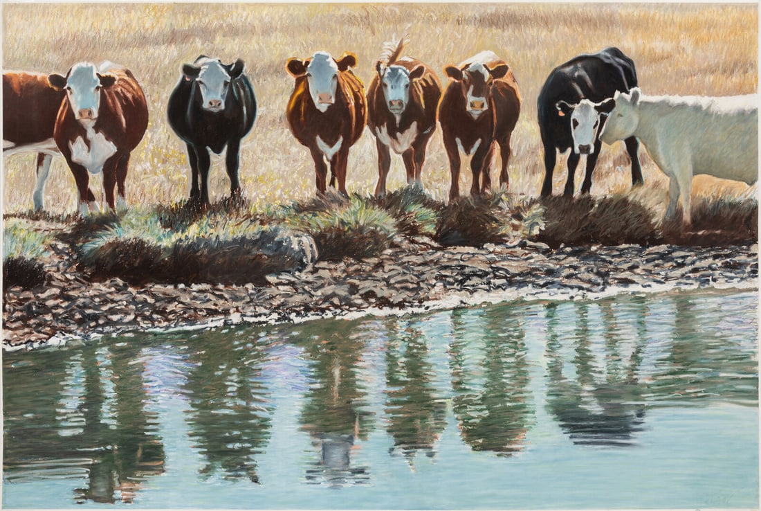 Donald Coen (American, b. 1935) Untitled (Cows) (1 of 2)