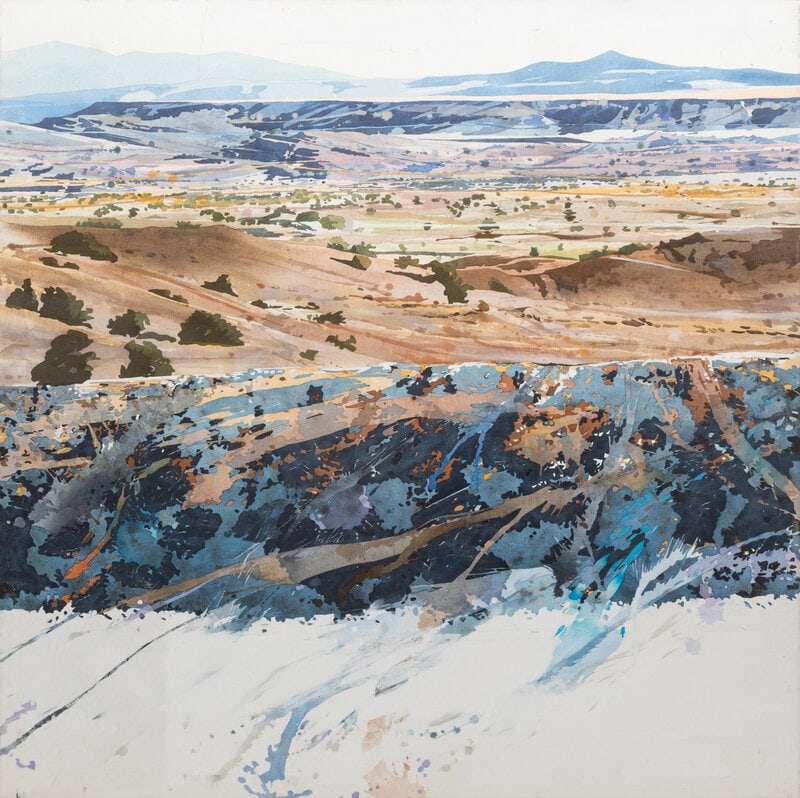 David Outhwaite
(American, b. 1945)
La Bajada Lichen #1, 1978 (1 of 3)