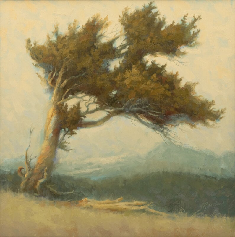 Terry Gardner
(American, b. 1950)
Bristlecone Pine, 2002 (1 of 3)