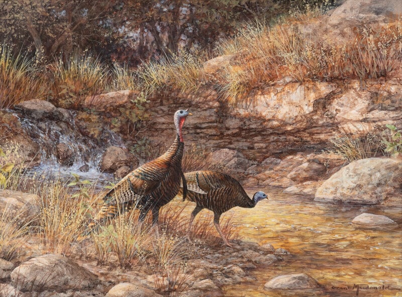 Grant MacDonald
(American, b. 1944)
Cool Haven (1 of 3)