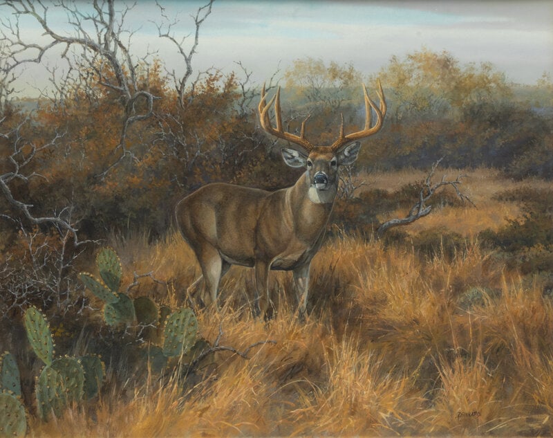 David Drinkard
(American, b. 1948)
Brush Country Monarch (1 of 3)