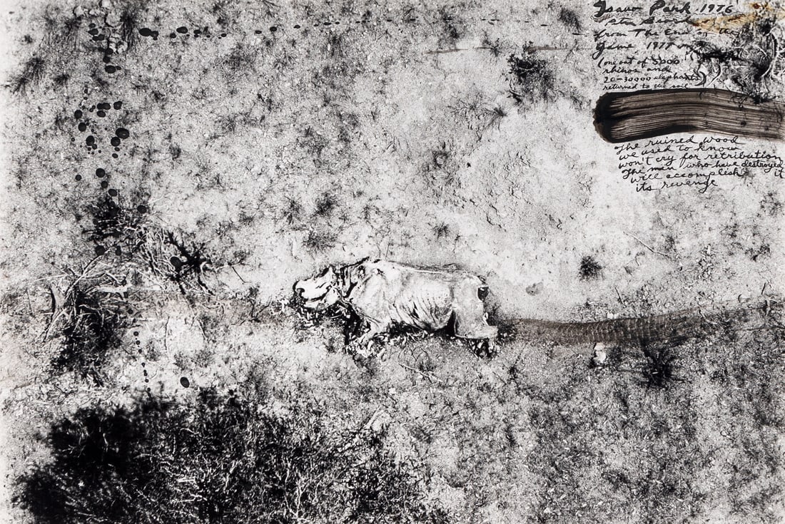 Peter Beard (American, 1938–2020) Tsavo Park (from "The End of the Game), 1976-1977: Peter Beard (American, 1938–2020) Tsavo Park (from "The End of the Game), 1976-1977 unique gelatin silver print with blood handwork signed, titled, dated and inscribed in ink 12 1/4 x 18 inches.