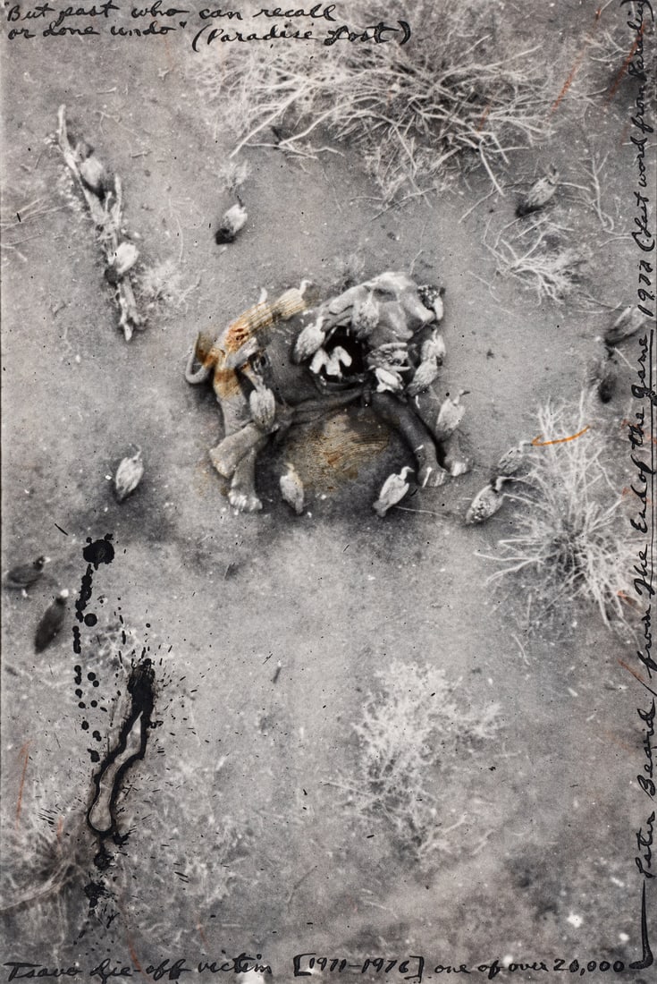 Peter Beard (American, 1938–2020) But Past Who Can Recall or Done Undo (Paradise Lost) (from: Peter Beard (American, 1938–2020) But Past Who Can Recall or Done Undo (Paradise Lost) (from The End of the Game), 1977 unique gelatin silver print with blood handwork signed, titled, dated and