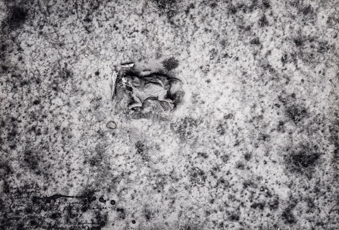 Peter Beard (American, 1938–2020) Nor Dread, Nor Hope Attend (from The End of the Game), 1977: Peter Beard (American, 1938–2020) Nor Dread, Nor Hope Attend (from The End of the Game), 1977 unique gelatin silver print signed, titled, dated and inscribed in ink 11 5/8 x 17 1/8 inches This l