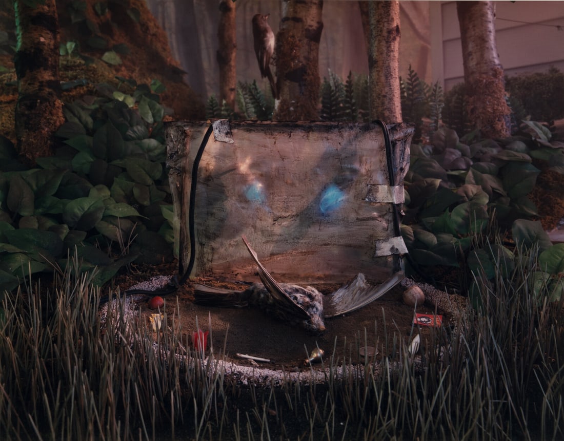 Gregory Crewdson (American, b. 1962) Untitled (from Natural Wonder Series), 1992: Gregory Crewdson (American, b. 1962) Untitled (from Natural Wonder Series), 1992 c-print edition 2/6 28 x 35 3/4 inches. This lot is located in Chicago. Provenance: Luhring Augustine, New York