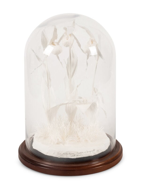 Patty Tenneboe Eckman (American, b. 1946) Three Lady Slipper Orchids with Dragonfly: Patty Tenneboe Eckman (American, b. 1946) Three Lady Slipper Orchids with Dragonfly cast paper titled, signed, and editioned 11/25; housed in a glass dome height 12 inches x diameter 9-1/2 inches<