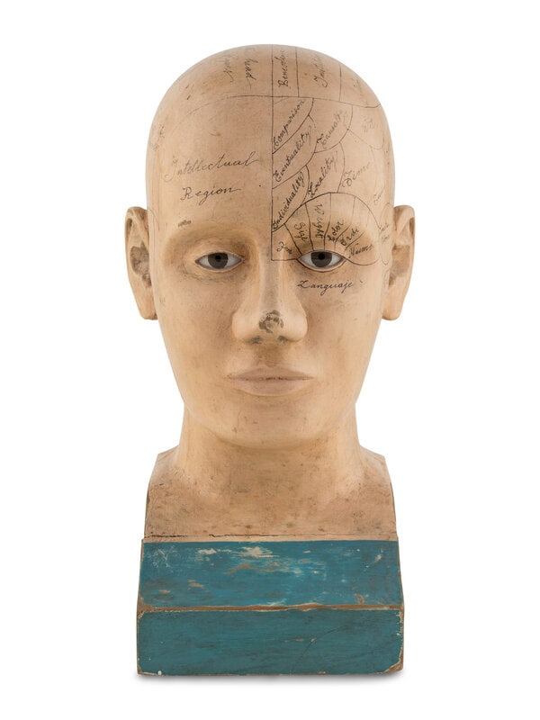 A Carved and Painted Wood Phrenology Head (1 of 9)