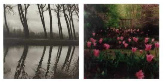 Lynn Geesaman (American, 1938-2020) Damme, Belgium and Crathes Castle Garden, Scotland, a group of