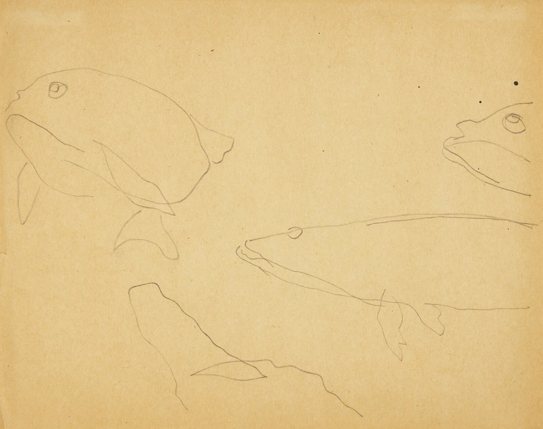 Charles Demuth (American, 1883-1935) Fish, 1917: Charles Demuth (American, 1883-1935) Fish, 1917 pencil on paper 8 x 10 in. (20.3 x 25.4cm) The Collection of Sidney Rothberg, Philadelphia, Pennsylvania This lot is located in Philadelphia. Provenance