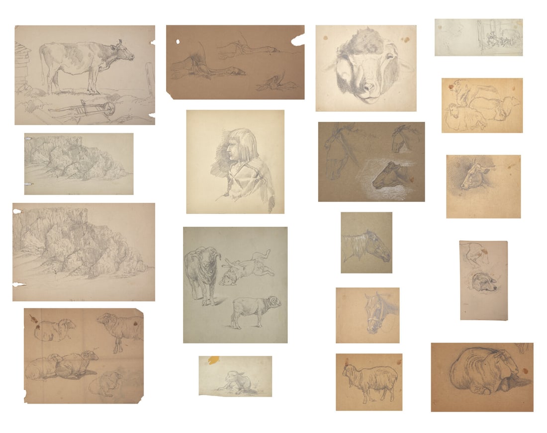 Peter Moran (American, 1841-1914) Farm Animal Studies: Folder of Eighteen (18) Pencil Drawings: Peter Moran (American, 1841-1914) Farm Animal Studies: Folder of Eighteen (18) Pencil Drawings pencil on paper largest: 8 x 7 1/8 in. (20.3 x 18.1cm) The Collection of Sidney Rothberg, Philadelphia, P
