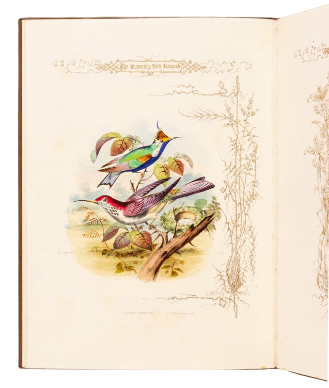 [NATURAL HISTORY]. JERRARD, Paul. The Humming Bird Keepsake Book of Bird Beauty [and] Gems for the D (1 of 1)