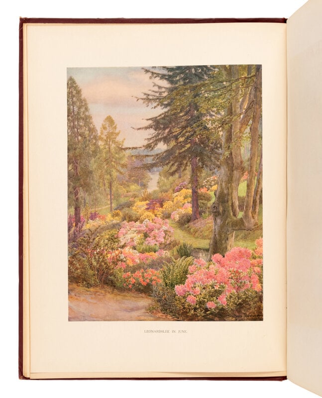 [NATURAL HISTORY]. MILLAIS, John Guille (1865-1931). Rhododendrons and the Various Hybrids. First an (1 of 1)