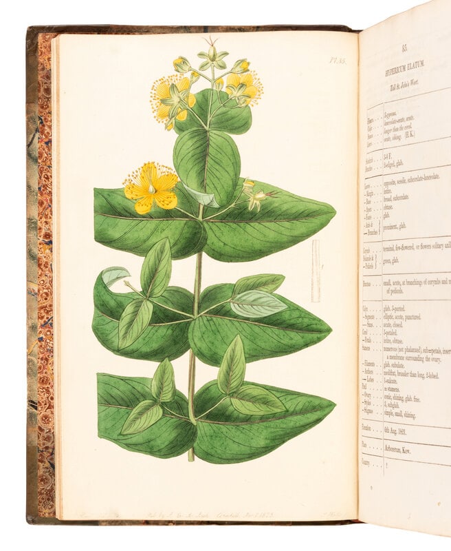 [NATURAL HISTORY]. WATSON, Peter William (1761-1830). Dendrologia Britannica, or Trees and Shrubs (1 of 1)