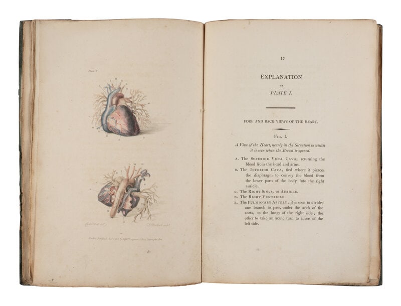 [SCIENCE & MEDICINE]. A group of 5 works on anatomy, comprising:  (1 of 2)