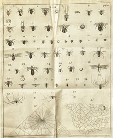 [Natural History] Lister, Martin. Historiae Animalium Angliae Tres Tractatus. Unus de Araneis...