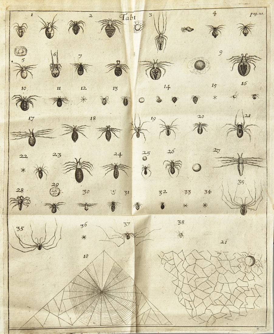 [Natural History] Lister, Martin. Historiae Animalium Angliae Tres Tractatus. Unus de Araneis... (1 of 4)