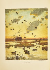 [Natural History] Phillips, John C. A Natural History of the Ducks. First Edition