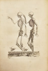 [Science, Medicine & Mathematics] Cowper, William. Myotomia Reformata... First Folio edition.