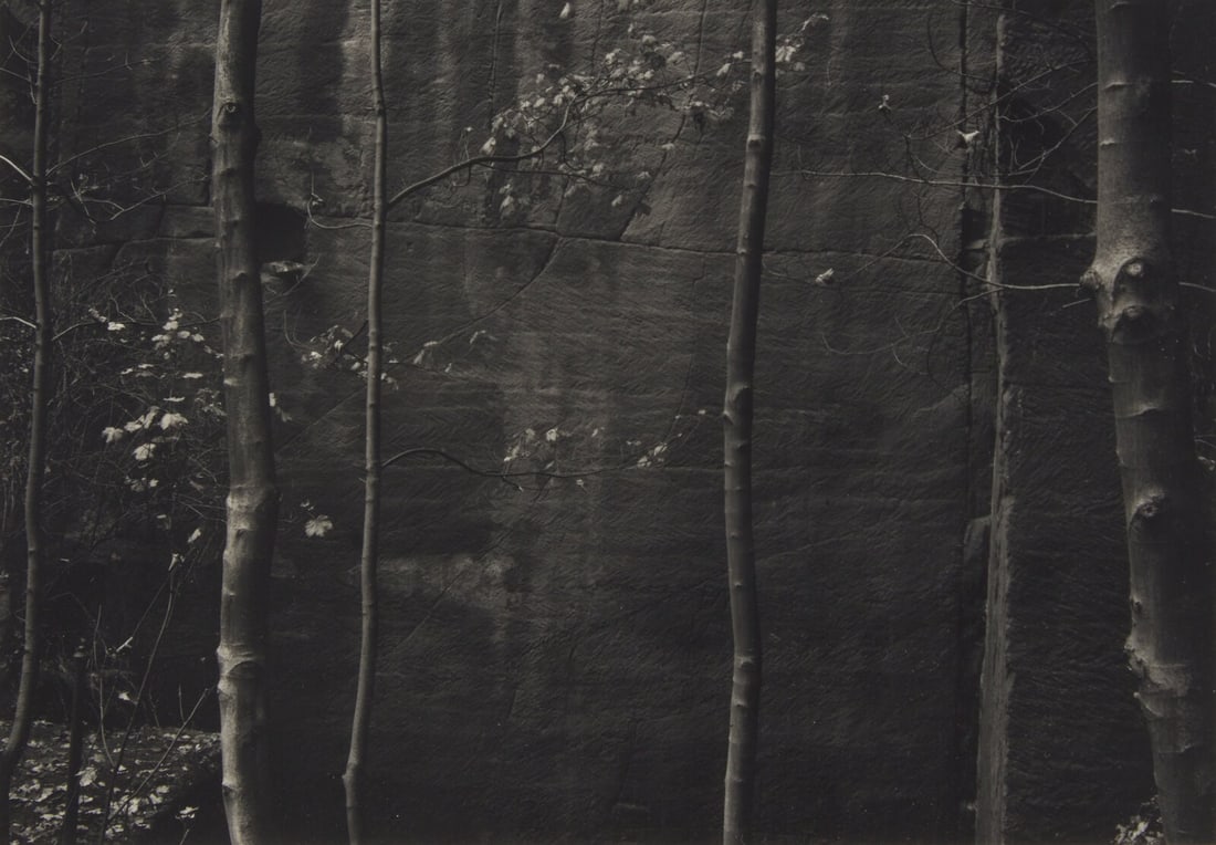 Thomas Joshua Cooper (American, b. 1946) A Quality of Dancing, Millersdale, Derbyshire, England,: Thomas Joshua Cooper(American, b. 1946) A Quality of Dancing, Millersdale, Derbyshire, England, 1983 and Ceremonial Veil, Nesscliffe, Shropshire, England, 1976 (two works) black and white, Selenium an