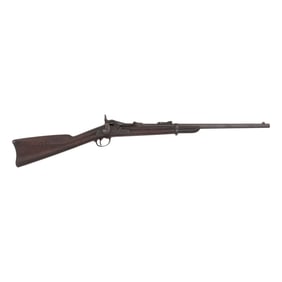 Composite Early US Model 1873 Trapdoor Springfield Carbine